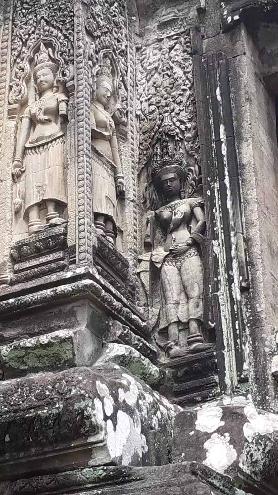 tuktuk siemreap angkor wat chauffeur professeur particulier precepteur tuteur bordeaux paris